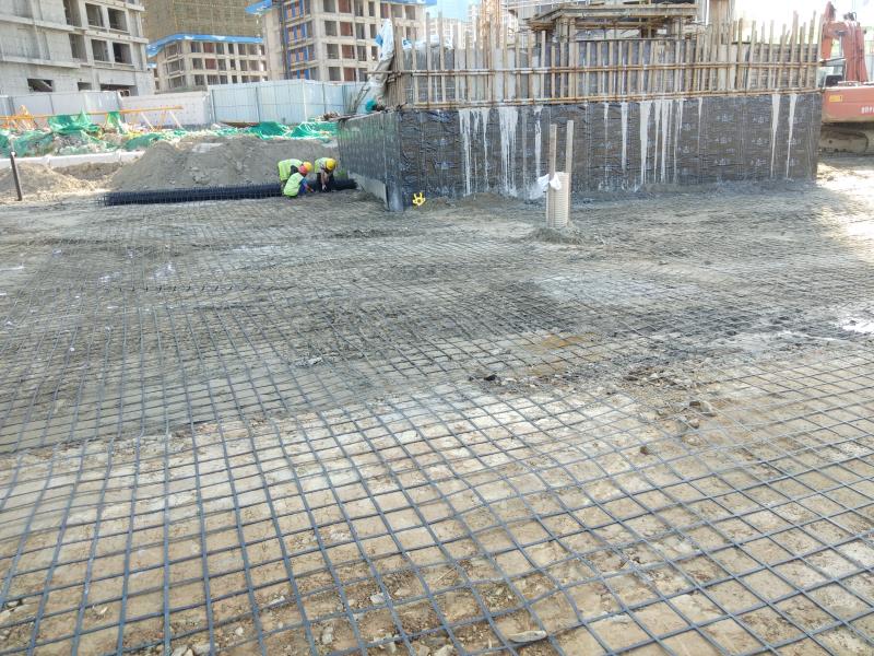 ��ܸ�ŵđ�(y��ng)�����c(di��n)