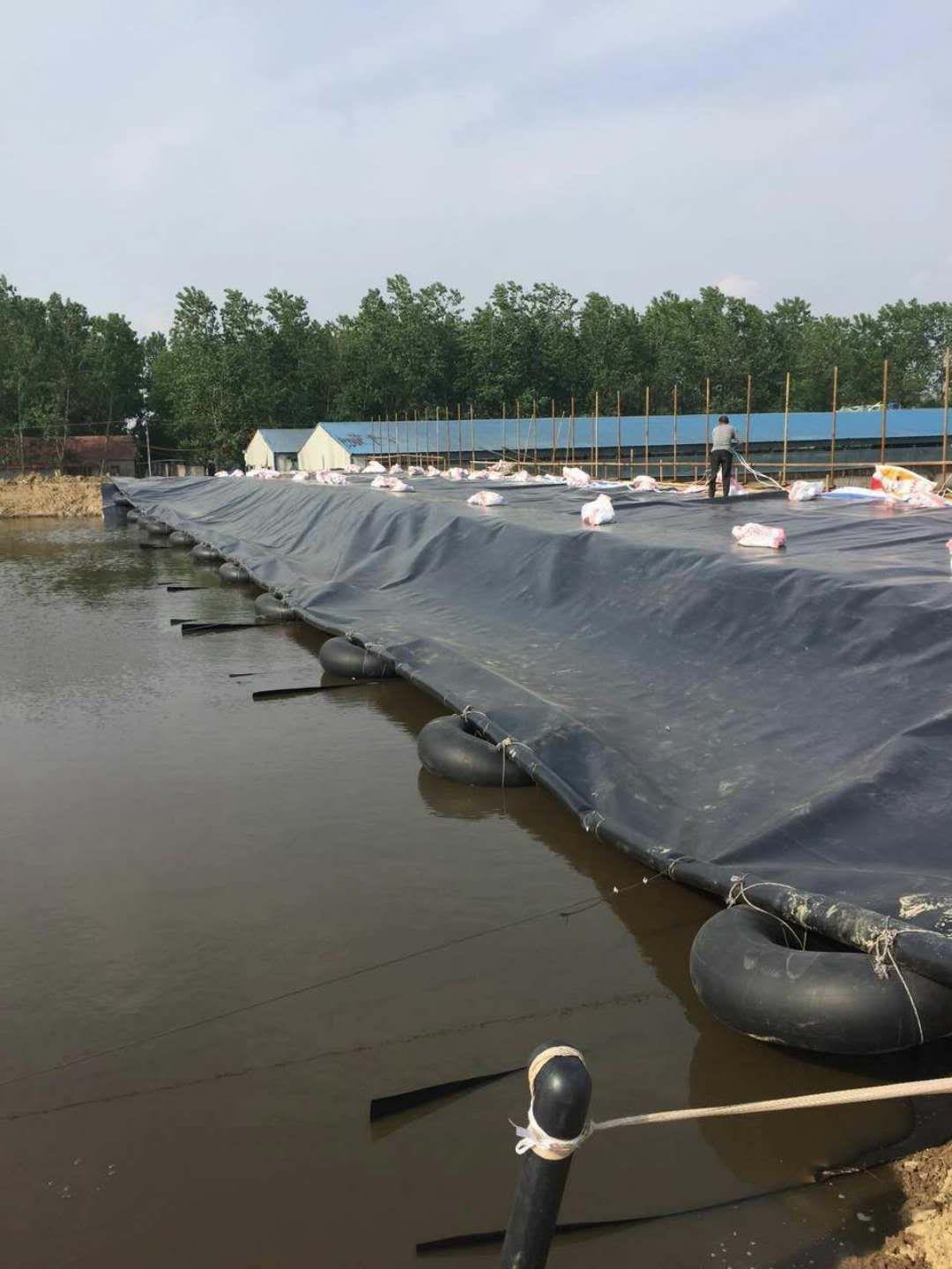 �~������Ĥʩ��