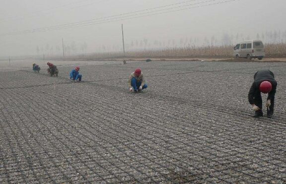 土工格柵的基礎(chǔ)建設(shè)